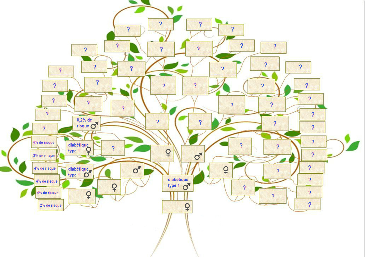 DT1-mon-arbre-genealogique